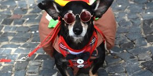 Fim de semana abre maratona de blocos no Rio de Janeiro