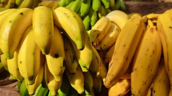 Banana%20lidera%20consumo%20mundial%3B%20veja%20o%20ranking%20