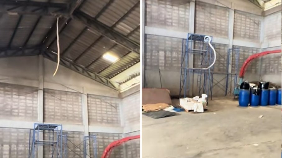VÍDEO: cobra gigante despenca do teto e apavora operários em galpão