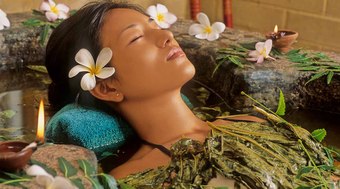 Banho de boldo é ótimo para eliminar energias negativas 