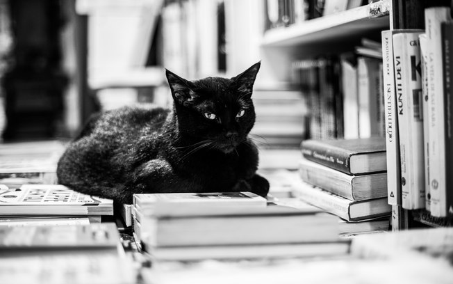 Autor A. R. dos Santos lança livro de poesia sobre a fauna