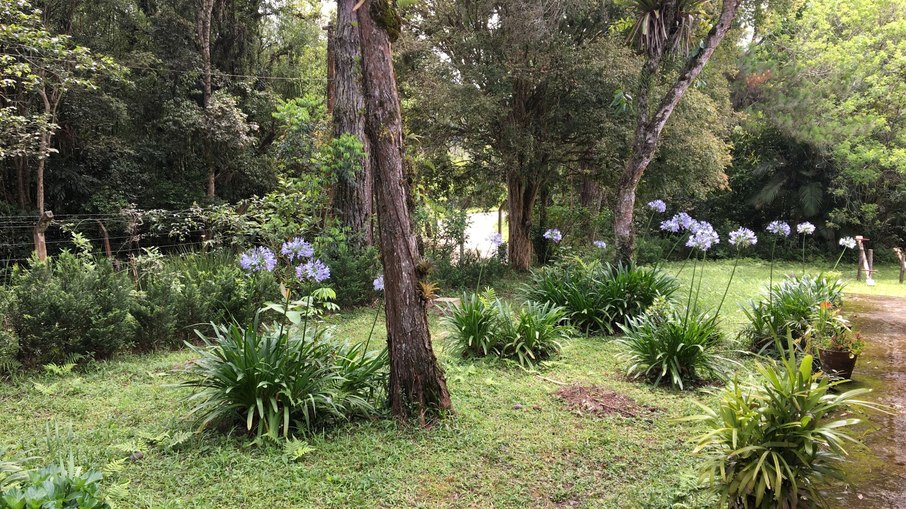 Sítio Cucurutu - São Paulo Sítio Cucurutu - São Paulo