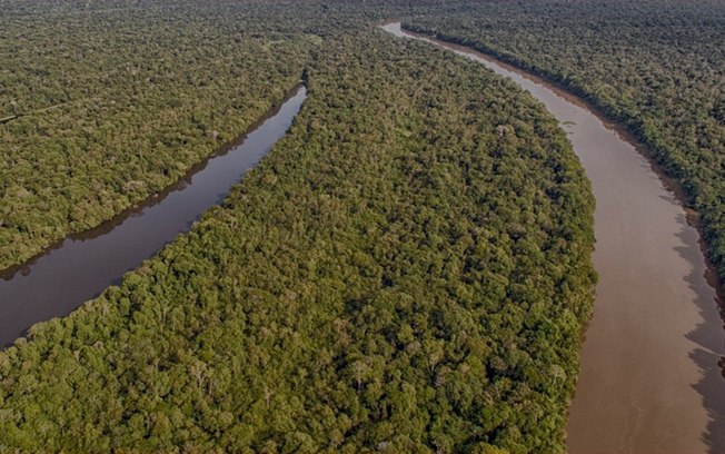 Nem pop, nem tech: os impactos do agronegócio na Amazônia