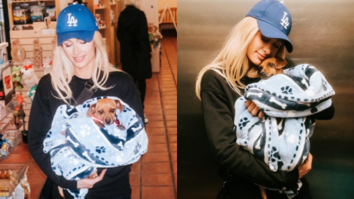 Paris Hilton adota cachorra em LA