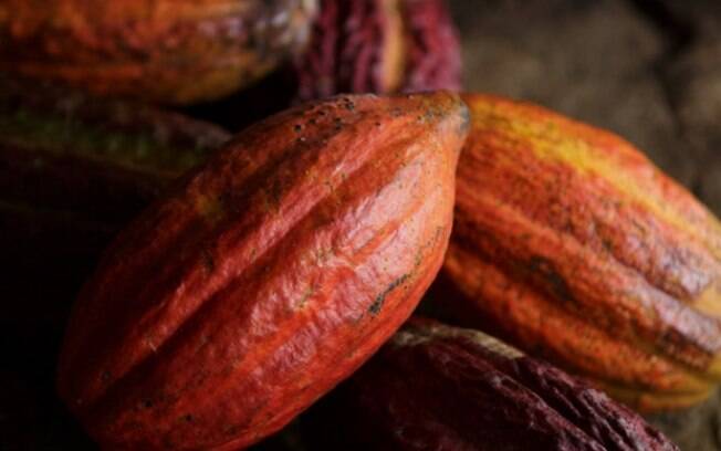 Gigante do chocolate reforça meta de sustentabilidade até 2025