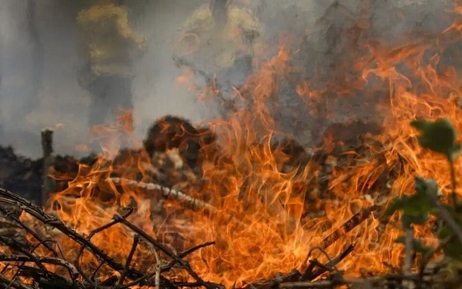 Quase um quarto do território brasileiro pegou fogo nos últimos 40 anos