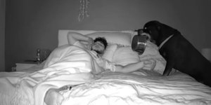 Cachorro viraliza ao pedir comida enquanto o dono dorme