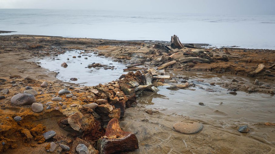 Pesquisadores encontraram um grande número de ossos de baleia na Ilha Wilczek, na Rússia Pesquisadores encontraram um grande número de ossos de baleia na Ilha Wilczek, na Rússia