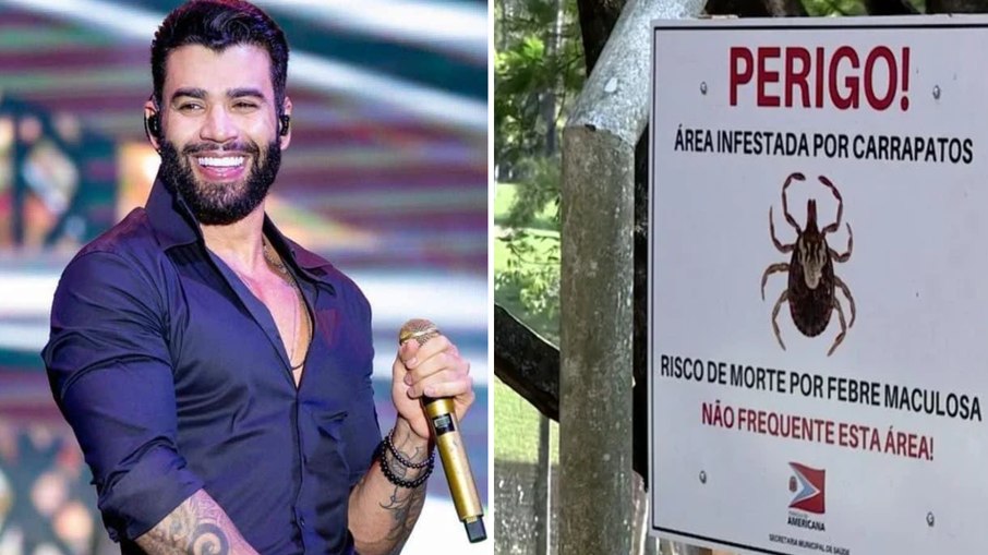 Febre maculosa: Gusttavo Lima avalia se fará show em fazenda suspeita