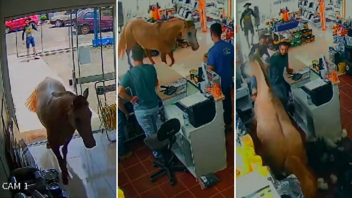 Cavalo invadiu loja na segunda-feira