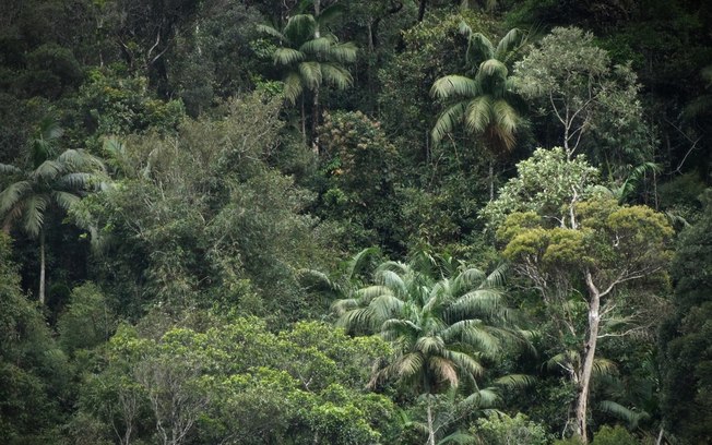 Agenda sustentável evolui, mas segue fragmentada no Brasil Agenda sustentável evolui, mas segue fragmentada no Brasil