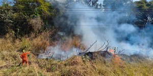 Goiás tem 10 incêndios no fim de semana em meio a clima seco