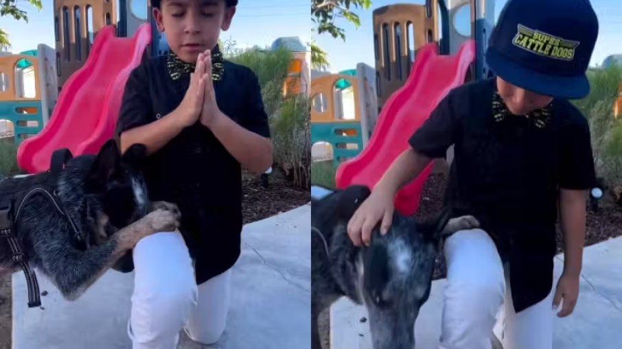 Cão ora ao lado de criança 
