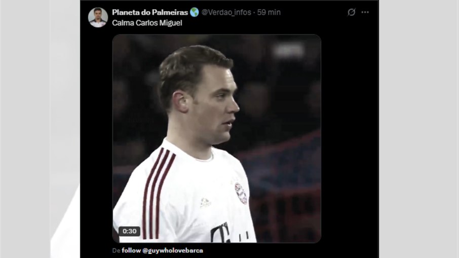 Palmeirenses comparam Carlos Miguel com Neuer nas redes sociais