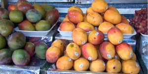 Dia Mundial da Fruta: saiba qual é a fruta mais exportada do Brasil