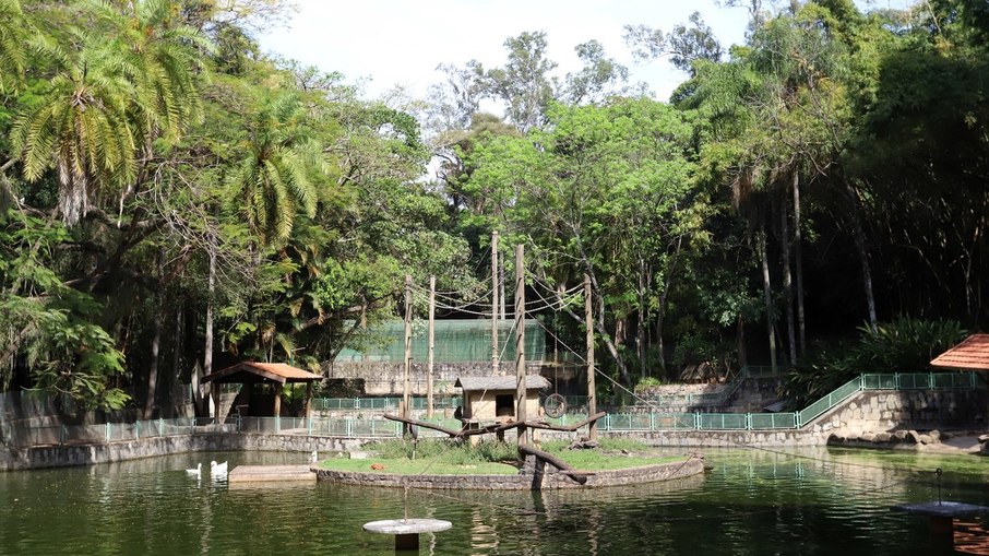 Bosque dos Jequitibás estará fechado apenas às segundas-feiras.