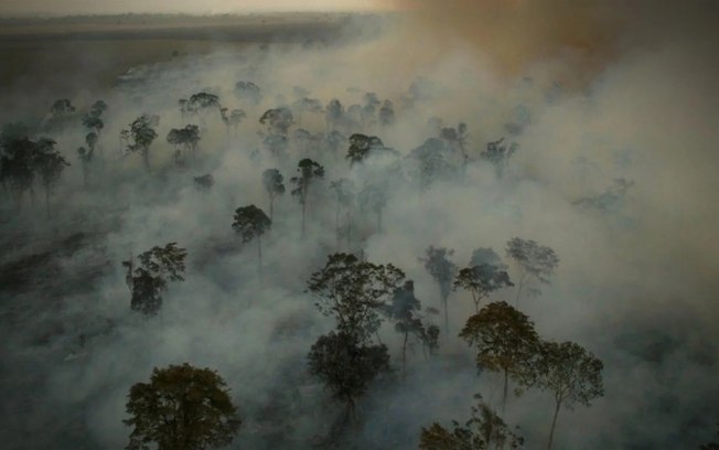 Enfrentando as mudanças climáticas: o papel da mitigação e da adaptação