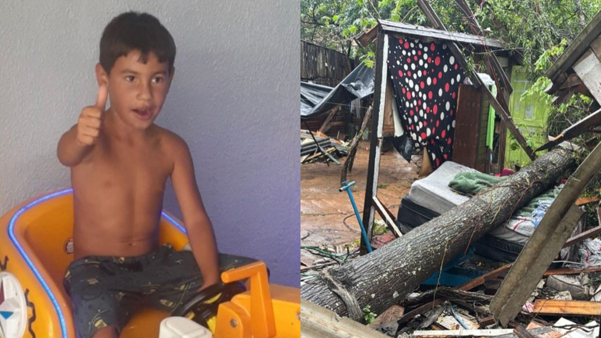 Criança morre após ser atingida por árvore Criança morre após ser atingida por árvore