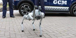 Cão-robô será utilizado para reforçar segurança no Carnaval de SP