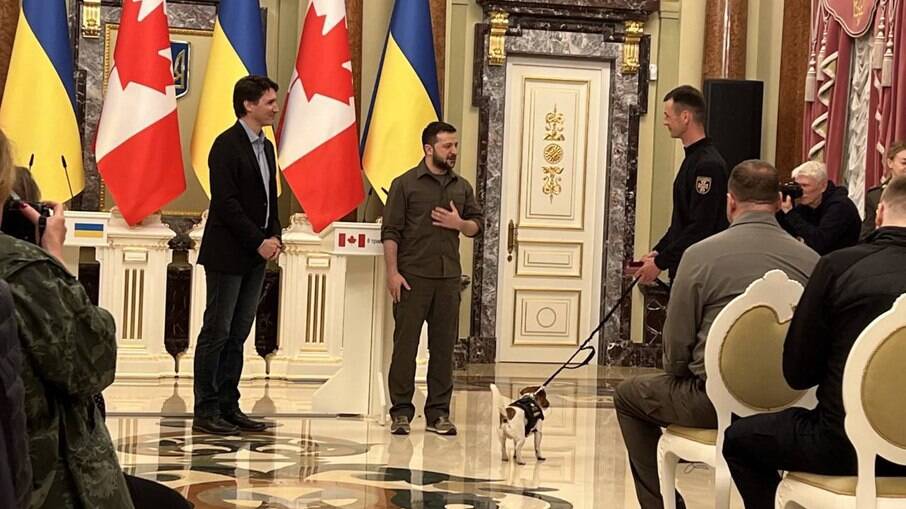 Patron, cachorro que fareja bombas na Guerra da Ucrânia, ganha medalha do presidente Zelensky