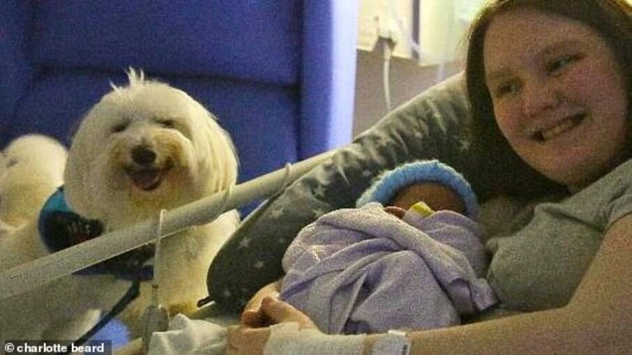 Britânica teve o direito de dar à luz ao lado de seu cão 'terapeuta'
