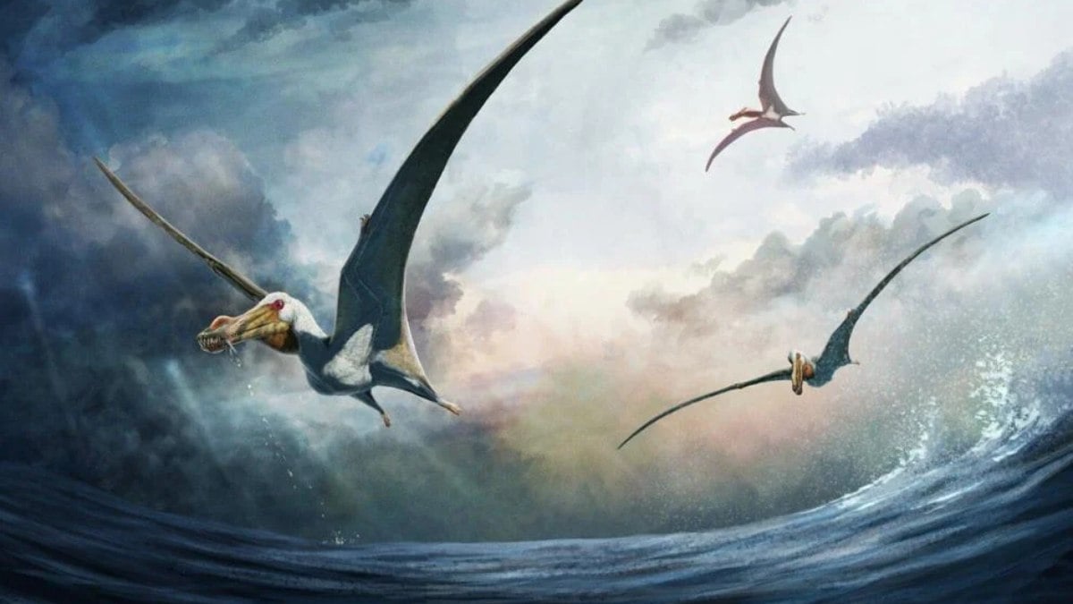 Interpretação artística de Haliskia peterseni, um dinossauro voador recém-descoberto. 
