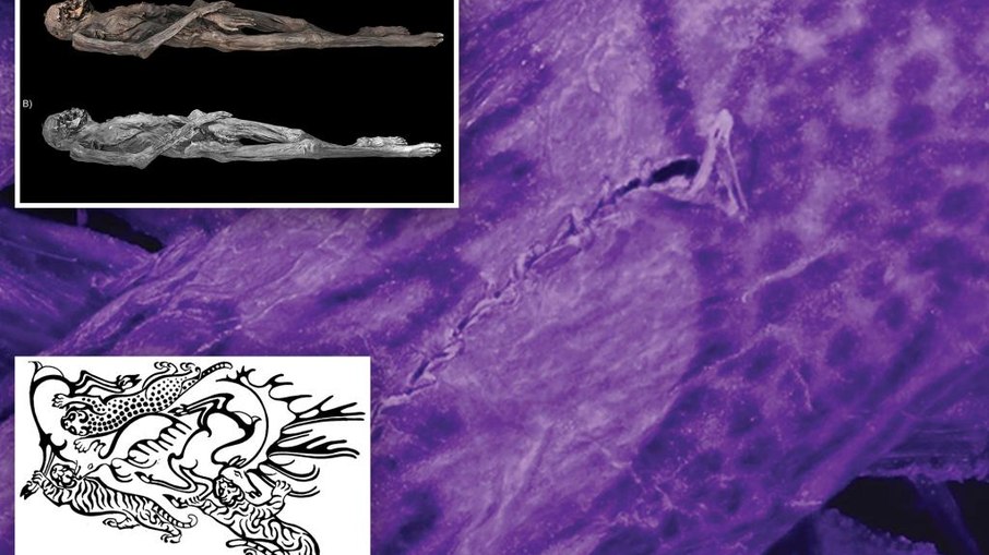 Tatuagens de múmia de 2.500 anos revelam arte surpreendente Tatuagens de múmia de 2.500 anos revelam arte surpreendente