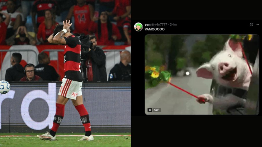 Torcedores do Palmeiras comemoram queda do Flamengo na Libertadores Torcedores do Palmeiras comemoram queda do Flamengo na Libertadores