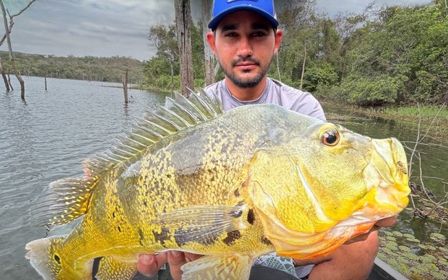 Pescador fisga tucunaré amarelo gigante e bate recorde no MT - Foto