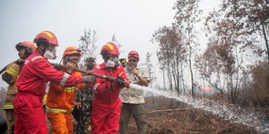 Gel brasileiro contra incêndios florestais é testado no exterior