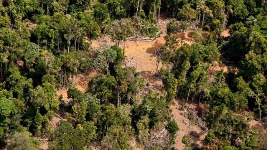 Desmatamento em áreas protegidas aumentaram 79% sob governo Bolsonaro