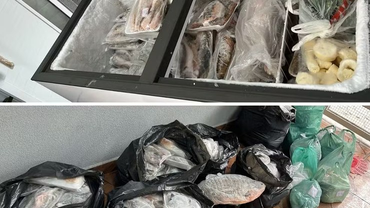 Venda irregular termina em apreensão de 215 kg de peixes e doação