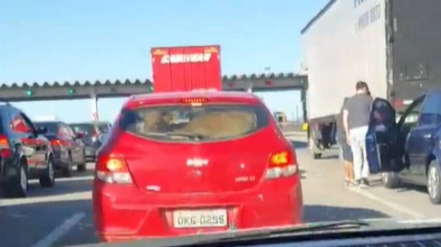 Vaca é flagrada dentro de carro em rodovia catarinense