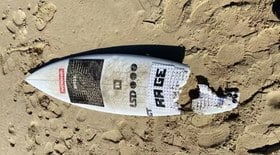 Perna de surfista aparece em praia após ataque de tubarão