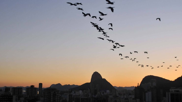 Rio tem a madrugada mais fria do ano, com 12,5º