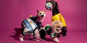 Adidas lança camisa da Copa do Mundo 2026 para cachorros