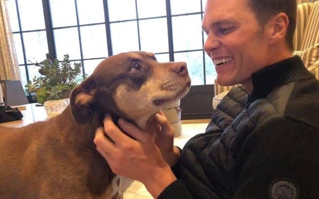 Tom Brady e Lua, cachorra que foi clonada pelo jogador