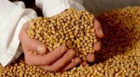 Mulheres do agro inovam e transformam a cadeia do leite