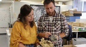 Crânio de ave gigante pré-histórica é encontrado intacto