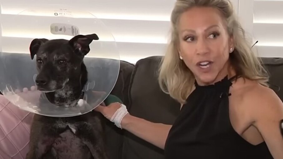 Mulher enfrenta jacaré para salvar cadela em ato heroico