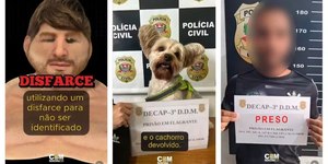 Homem usa disfarce para furtar cachorro de ex em pet shop em SP