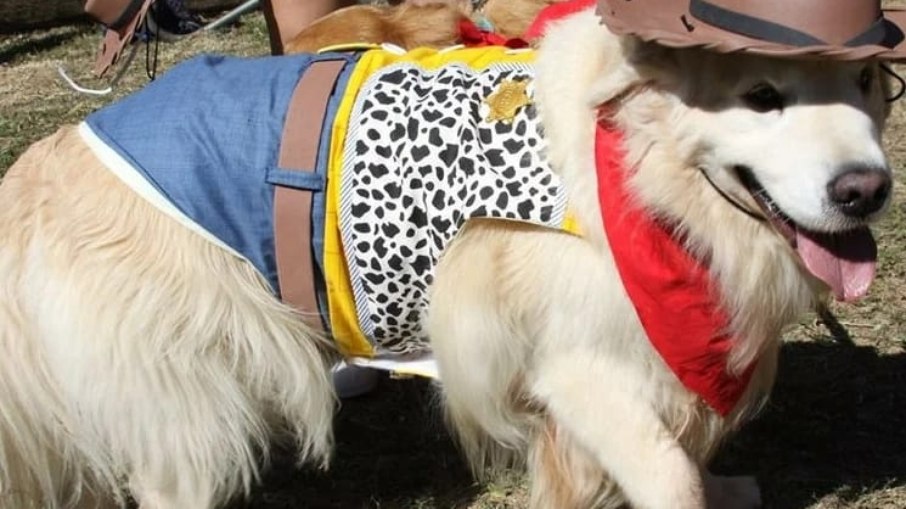 O concurso de cães e a eleição do Rei e da Rainha Pet Caipira vão animar a festa