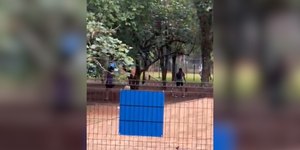 Confusão em área pet termina em agressão no Parque Ibirapuera