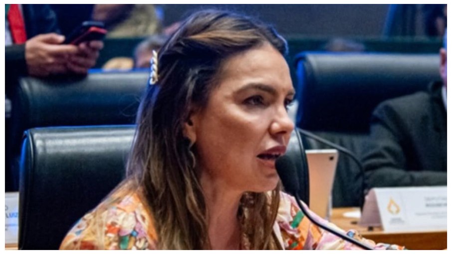 Paula Belmonte (PSDB) atualmente exerce o mandato de deputada distrital, eleita em 2022.