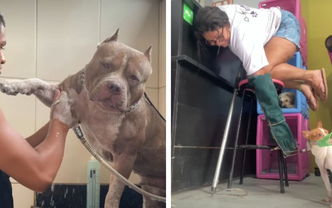 D2ofm871bis3z6v1ugza2c7l0