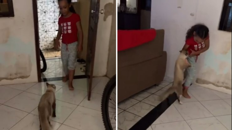 Gatinho%20espera%20a%20hora%20certa%20para%20dar%20o%20bote%20em%20crian%C3%A7a