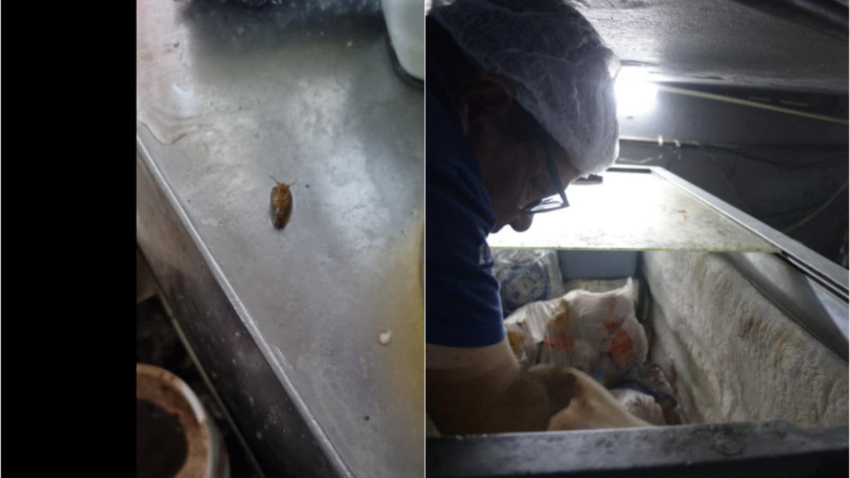 Fiscalização Fiscalização