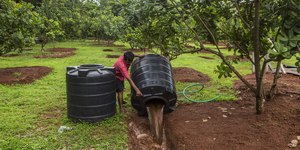 Índia desponta como “nova China” do agronegócio brasileiro
