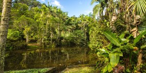 Vamos Trilhar: conheça a beleza dos Parques Naturais de São Paulo