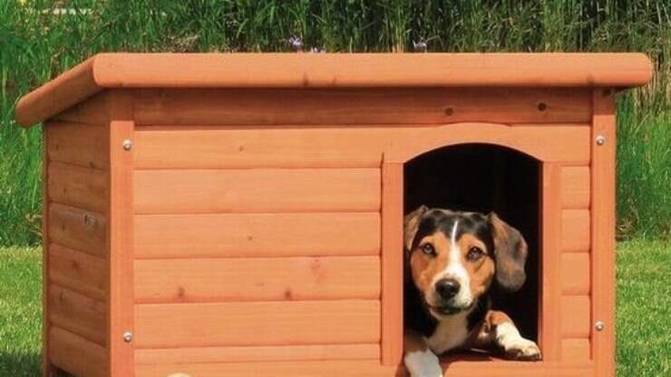 Como Construir uma Casinha de Cachorro